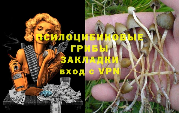 mdpv Алексеевка