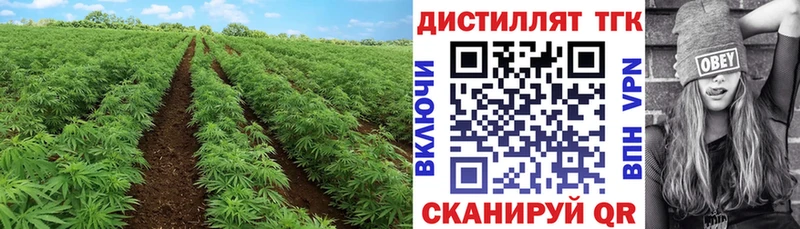 цена наркотик  Дмитриев  hydra зеркало  Дистиллят ТГК вейп 